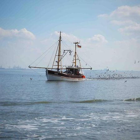 Ueber Den Daechern Von Bremerhaven Dış mekan fotoğraf
